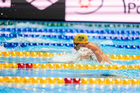 Swimming World Cup 2019 .